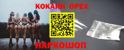 сатива Новозыбков