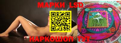 сатива Новозыбков