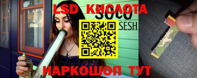 сатива Новозыбков