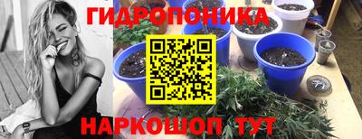 ешки Новодвинск