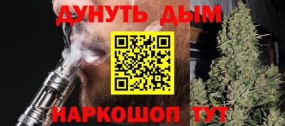 сатива Новозыбков