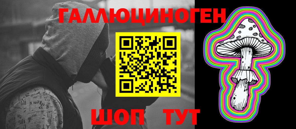 Галлюциногенные грибы Psilocybe Орёл